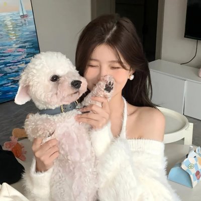 保福之枪 封面