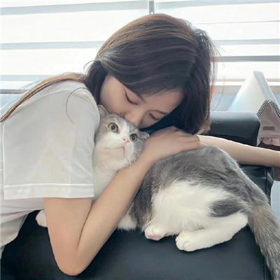 恋姬无双 封面