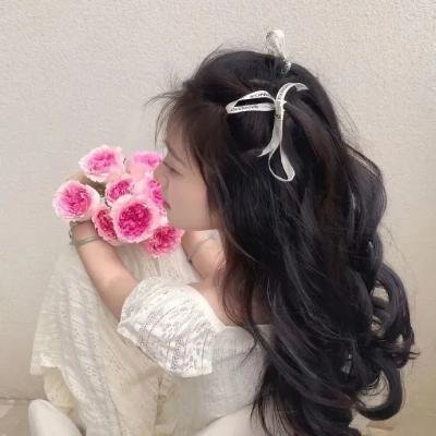贵族 封面